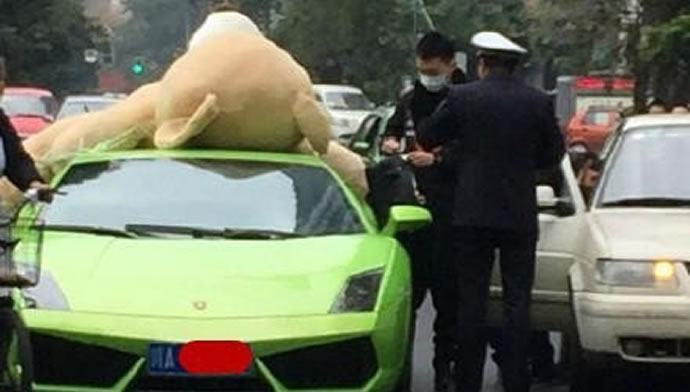 driver-fined-for-strapping-a-giant-teddy-bear-to-his-lamborghini2