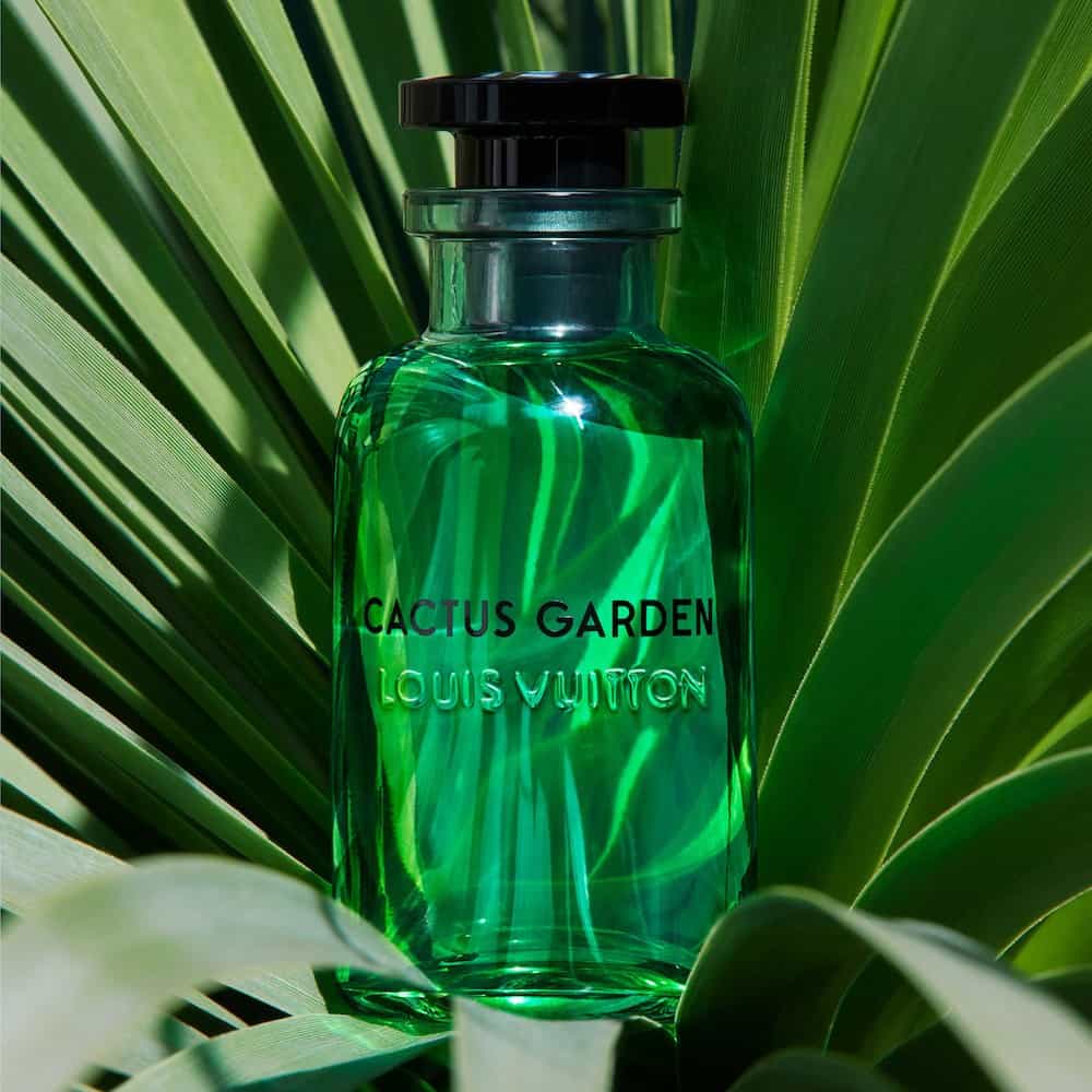 Louis Vuitton Cactus Garden, Perfumes